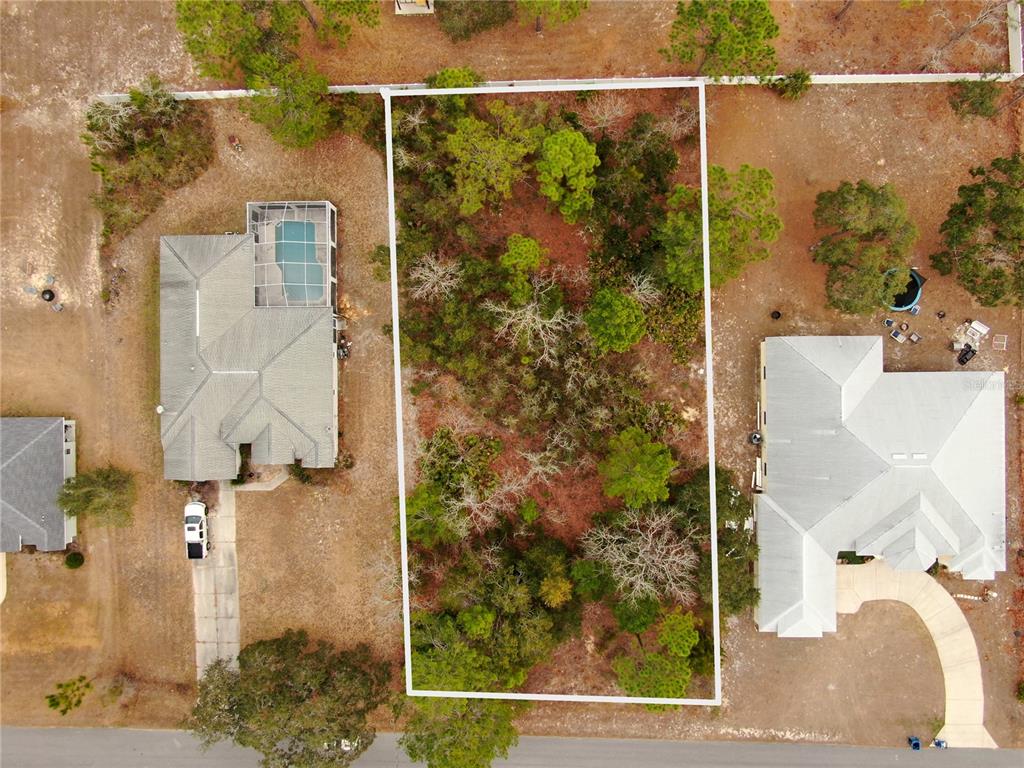 11072 Liberto Road Weeki Wachee, FL 34614 - Photo 6 of 6