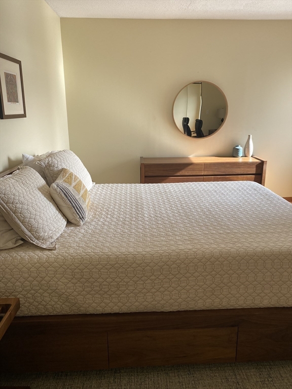 22 Parkman Street, Unit 3 Brookline, MA 02446 - Photo 9 of 16