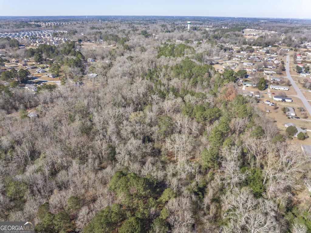 42.5 Old Perry Road Bonaire, GA 31005 - Photo 12 of 17 an aerial view of forest