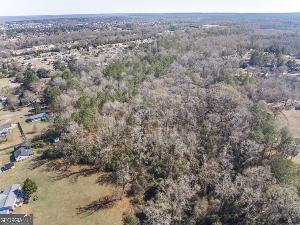 42.5 Old Perry Road Bonaire, GA 31005 - Photo 4 of 17 an aerial view of forest