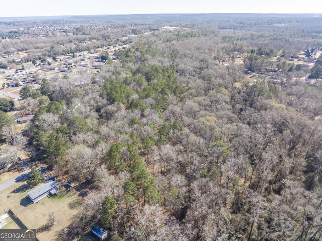 42.5 Old Perry Road Bonaire, GA 31005 - Photo 5 of 17 an aerial view of forest