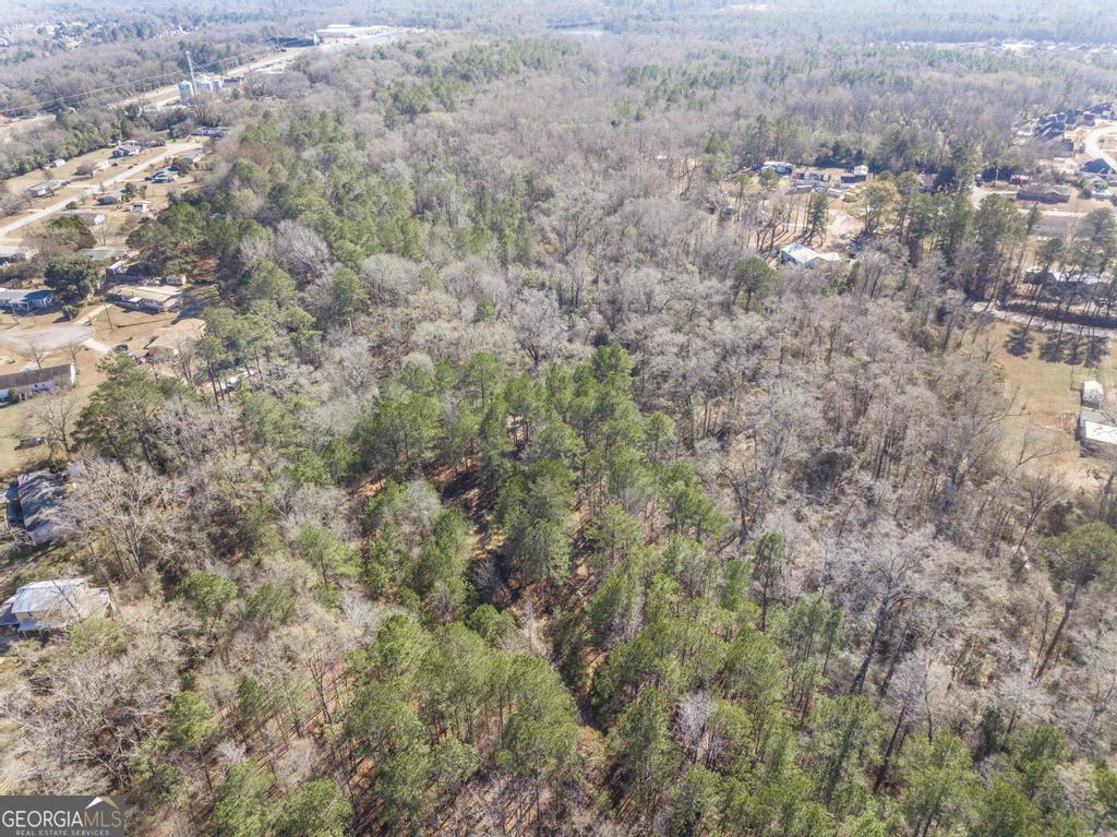 42.5 Old Perry Road Bonaire, GA 31005 - Photo 8 of 17 a view of a city with lush green forest