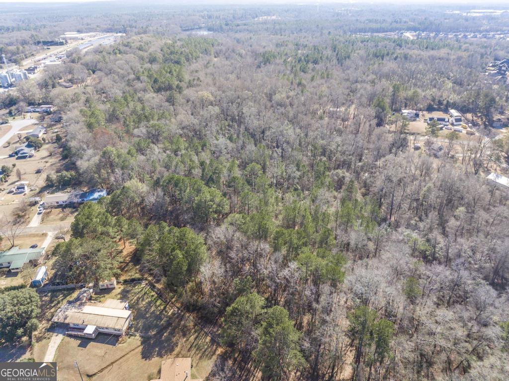 42.5 Old Perry Road Bonaire, GA 31005 - Photo 10 of 17 a view of a forest with lots of trees