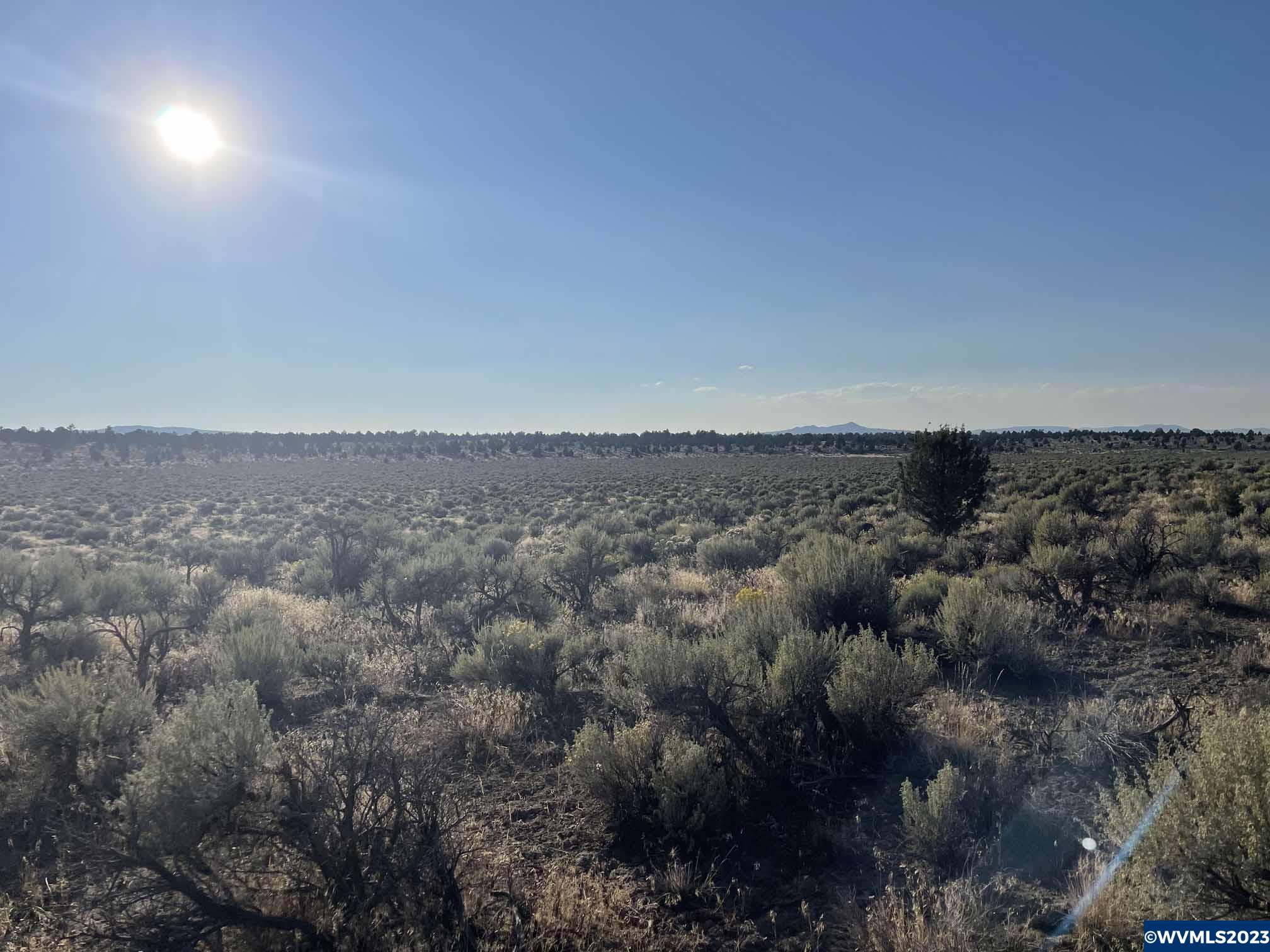 0 Millican Road Christmas Valley, OR 97641 - Photo 1 of 11