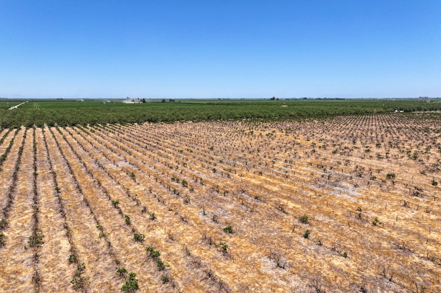 6370 Road 25 Madera, CA 93637 - Photo 2 of 9 a view of a lake with sunset