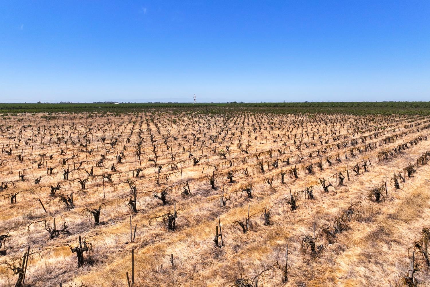 6370 Road 25 Madera, CA 93637 - Photo 6 of 9 a view of a street