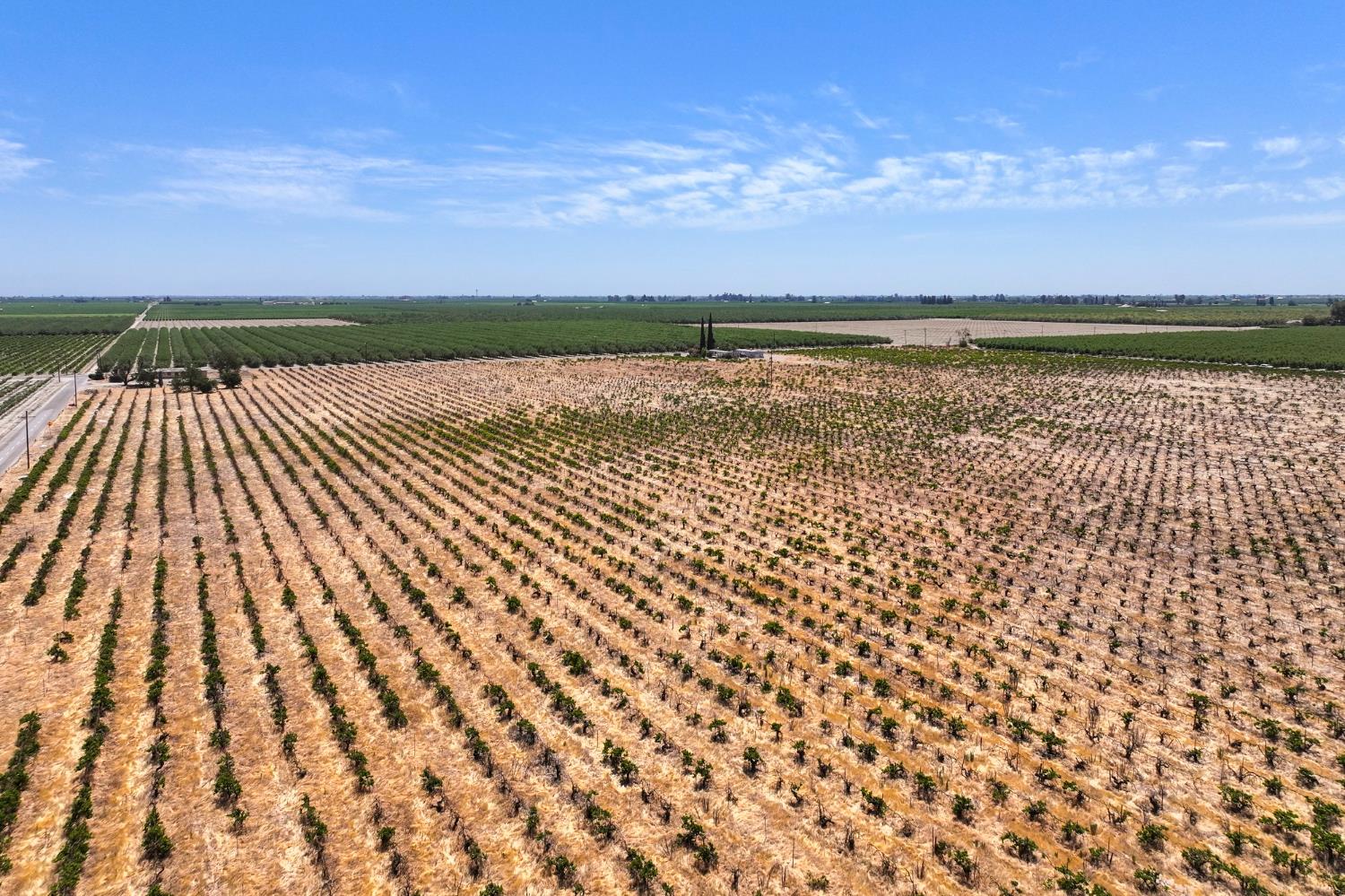 6370 Road 25 Madera, CA 93637 - Photo 8 of 9 a view of an outdoor space with a lake view