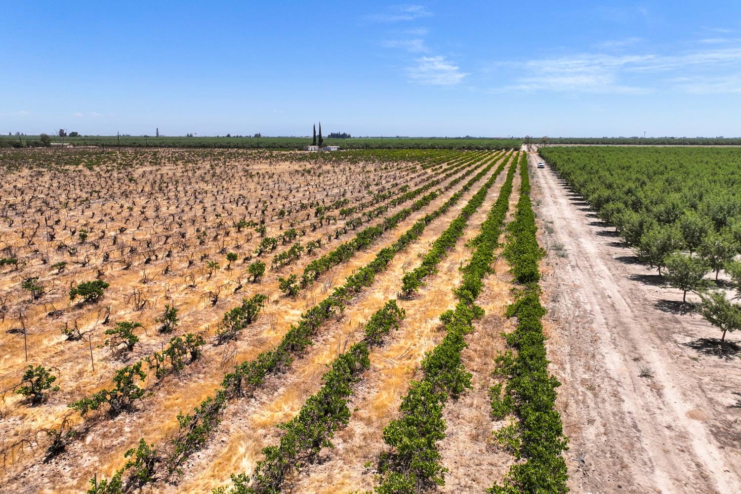 6370 Road 25 Madera, CA 93637 - Photo 9 of 9 a view of a city