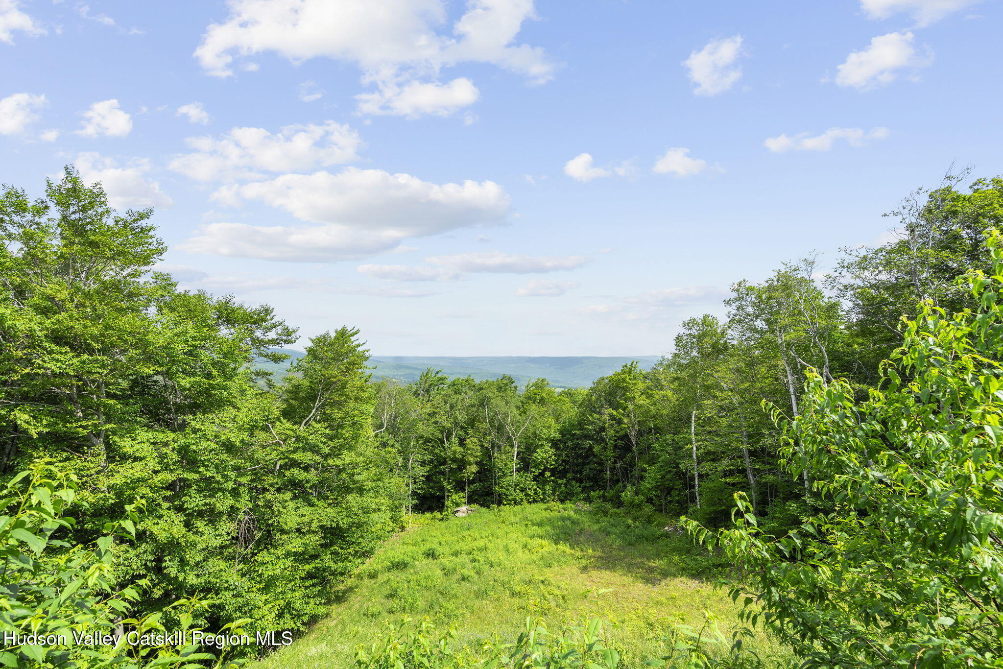 892 Durham Road Gilboa, NY 12076 - Photo 42 of 45 a view of a green yard