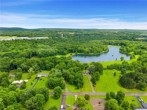 a view of a garden with an ocean