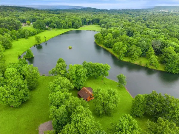 a view of a garden with a lake