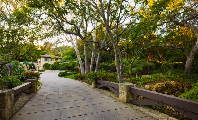a park view with a bench