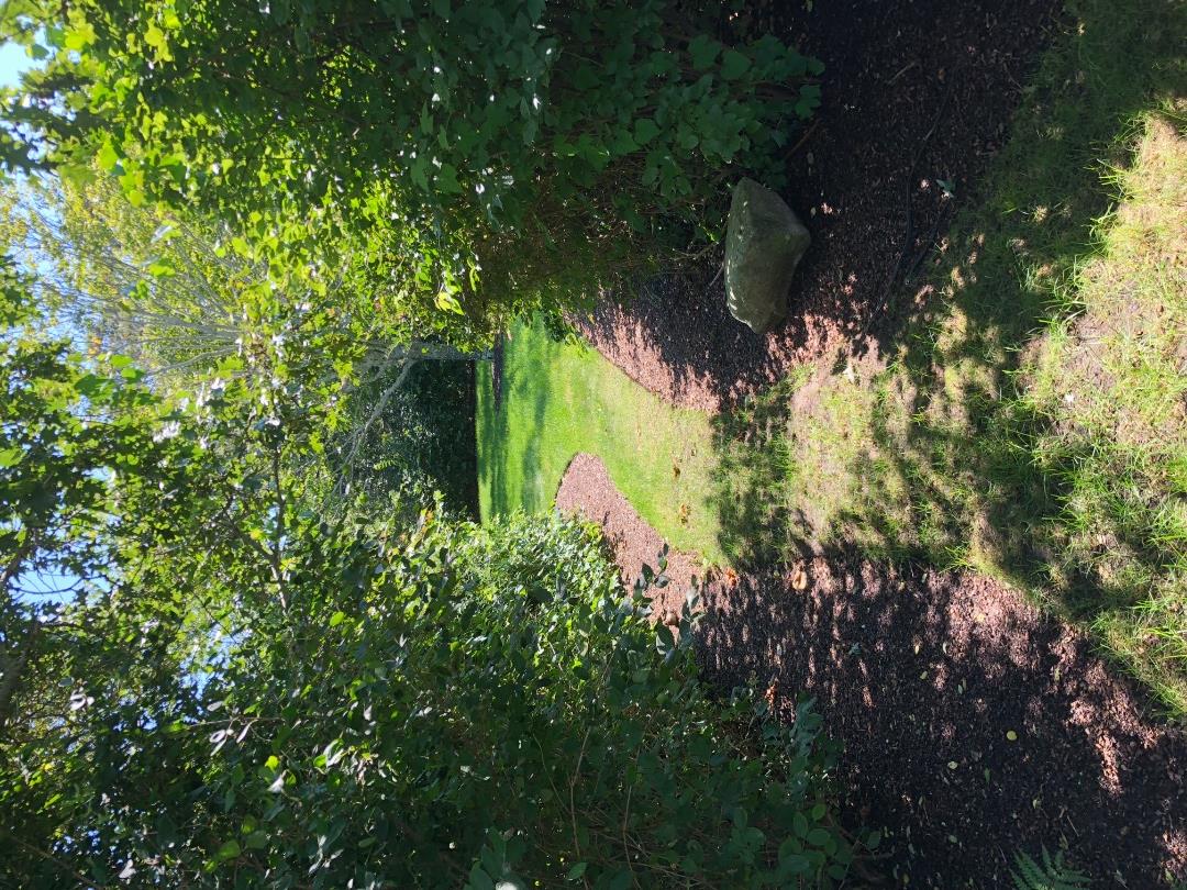 3 Katama Bay View Road Edgartown, MA 02539 - Photo 12 of 50 a view of a green yard with a tree