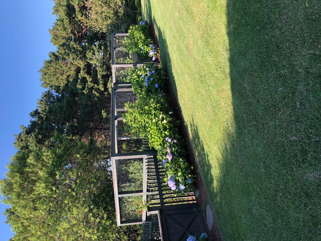 3 Katama Bay View Road Edgartown, MA 02539 - Photo 17 of 50 a front view of a house with garden