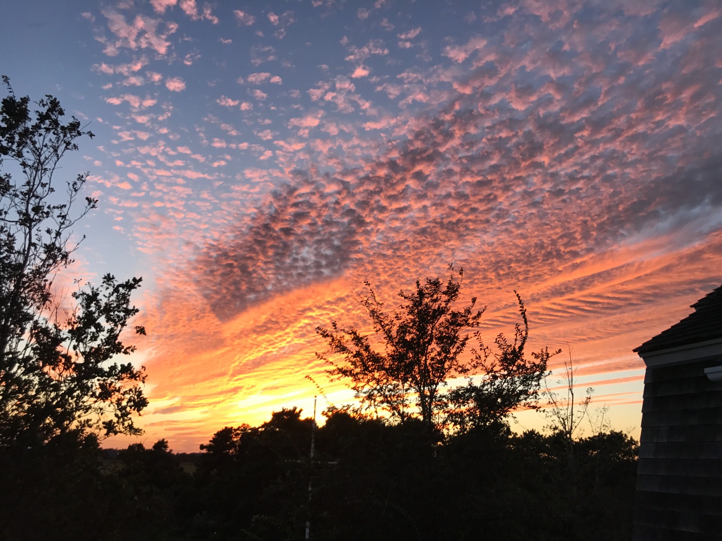 3 Katama Bay View Road Edgartown, MA 02539 - Photo 46 of 50 a backyard of a house
