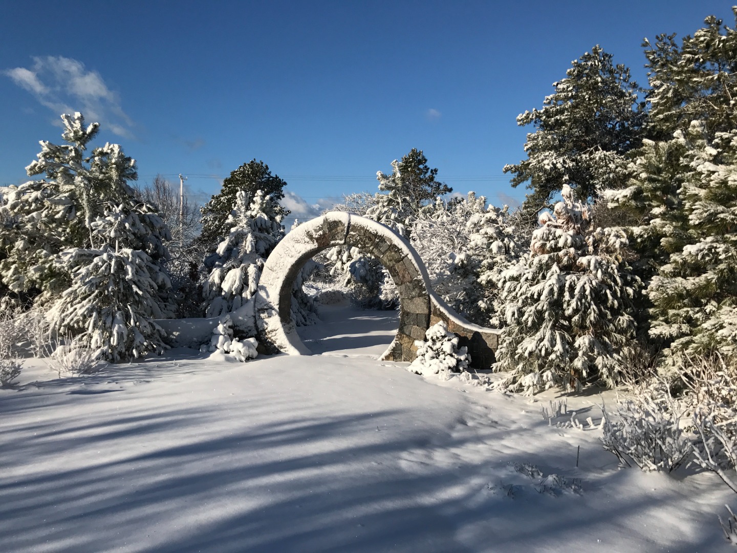 3 Katama Bay View Road Edgartown, MA 02539 - Photo 48 of 50 a view of a tree in a yard
