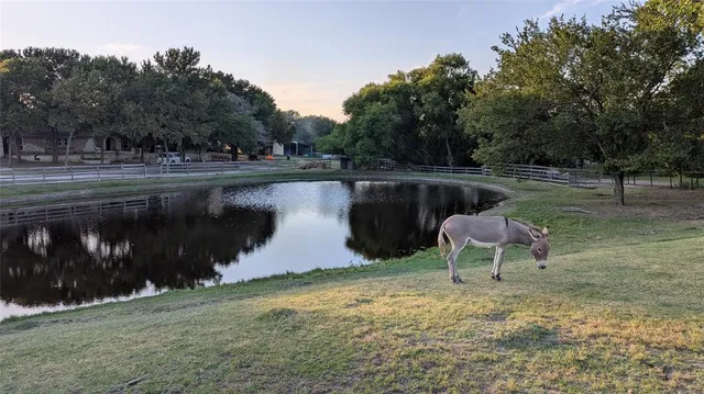 $900,000 | 5440 South State Highway 78, Nevada, TX 75173