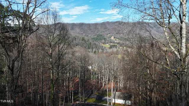 $459,000 | 591 Deer Haven Road, Unicoi, TN 37692