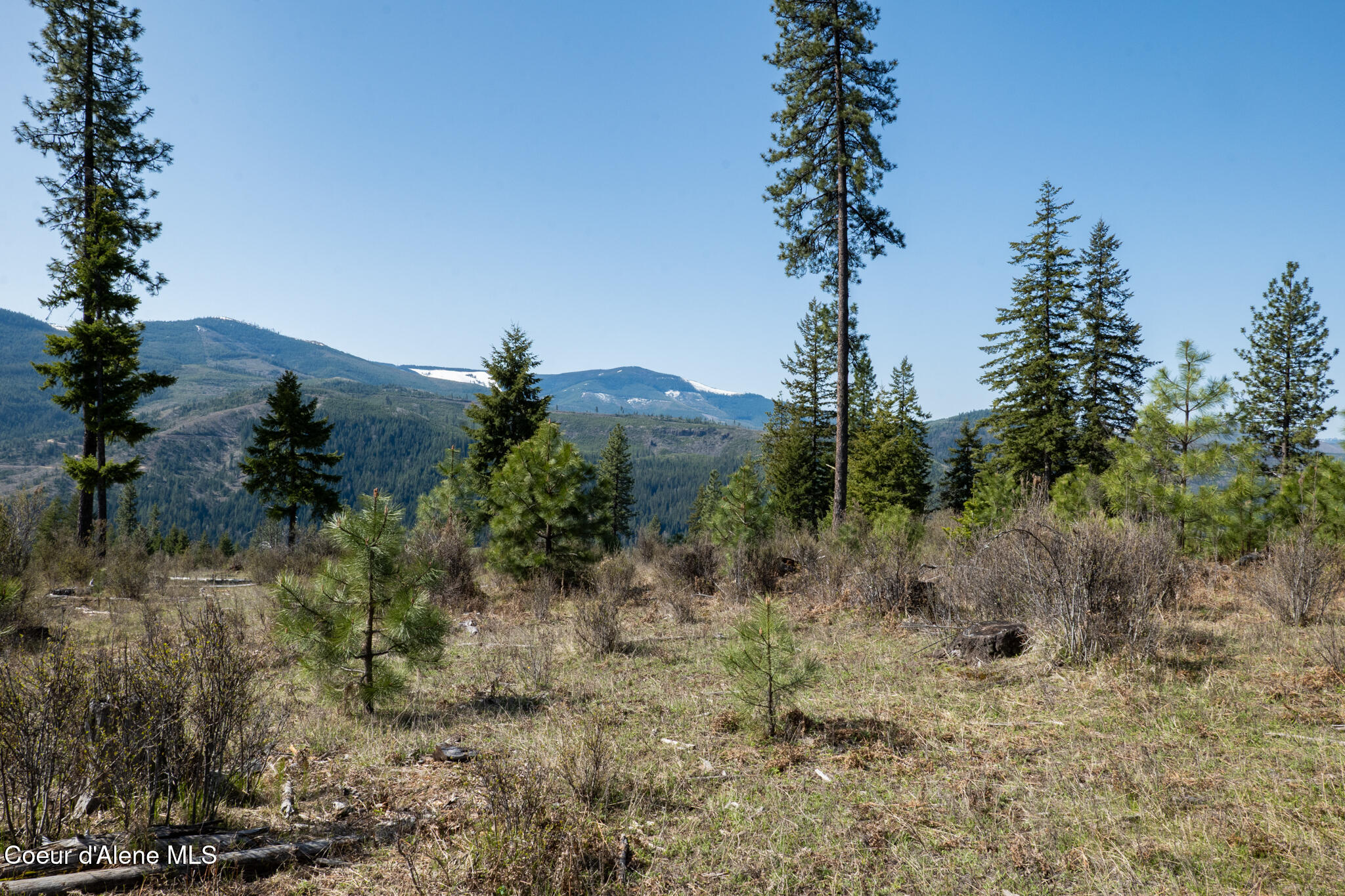 262 Ac North Side Road Calder, ID 83808 - Photo 59 of 72 NWLL Herrick-59
