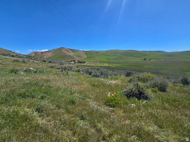 8400 North Treasurton Road, Unit CITY Preston, ID 83263 - Photo 3 of 12 Expansive open land featuring verdant hills, scattered brush, and distant agricultural fields under a clear sky