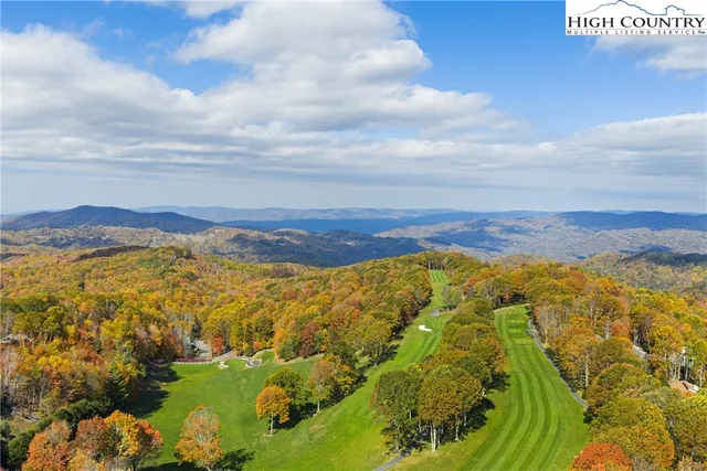 a view of a lush green hillside and houses