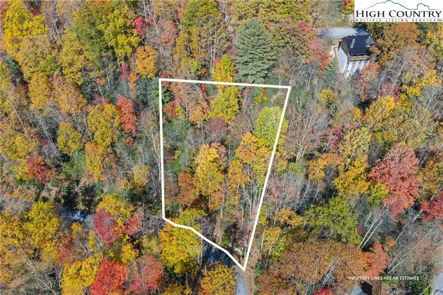 a view of a tree with a yard