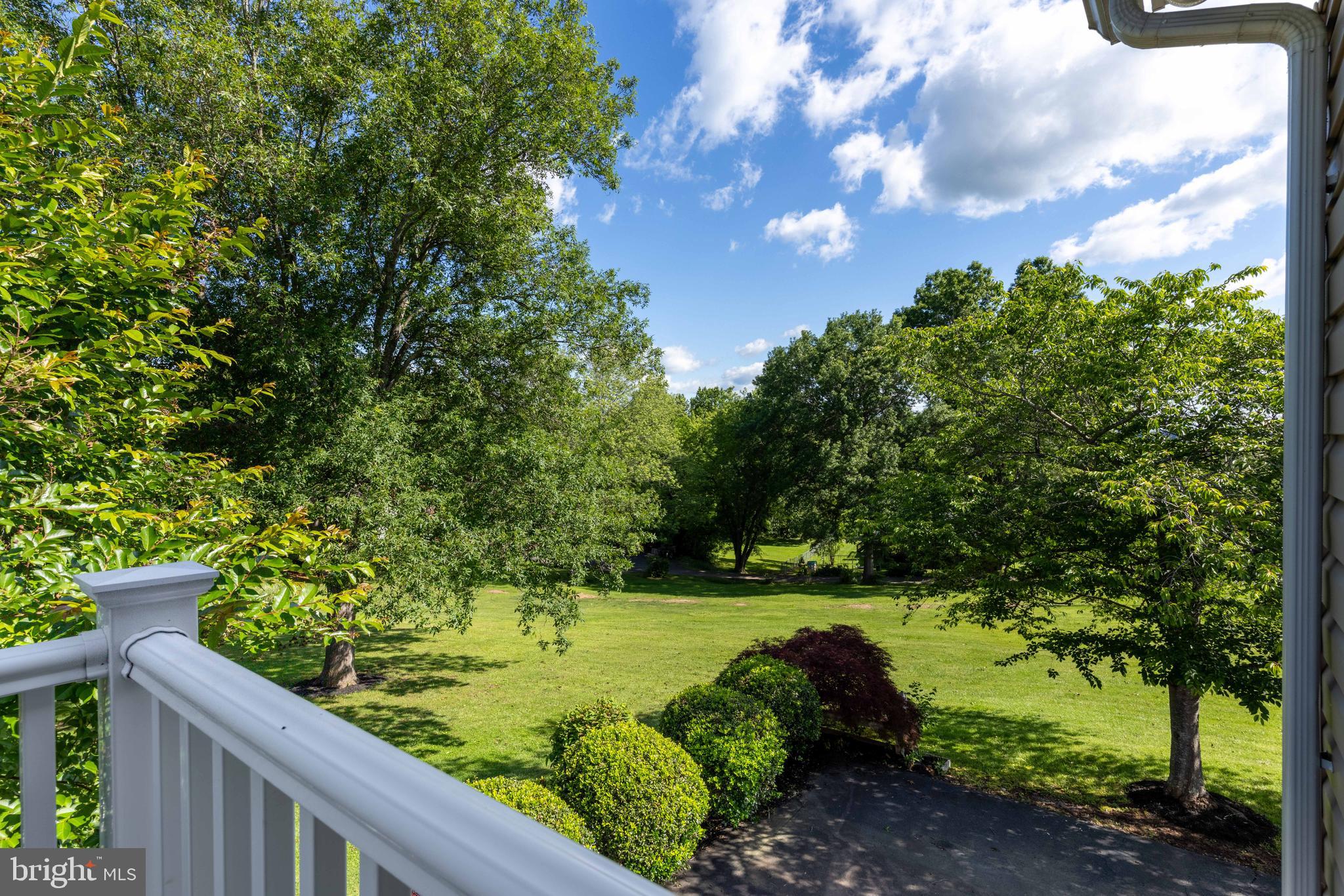650 Yowell Drive Culpeper, VA 22701 - Photo 27 of 65 a view of a garden with a tree in the background