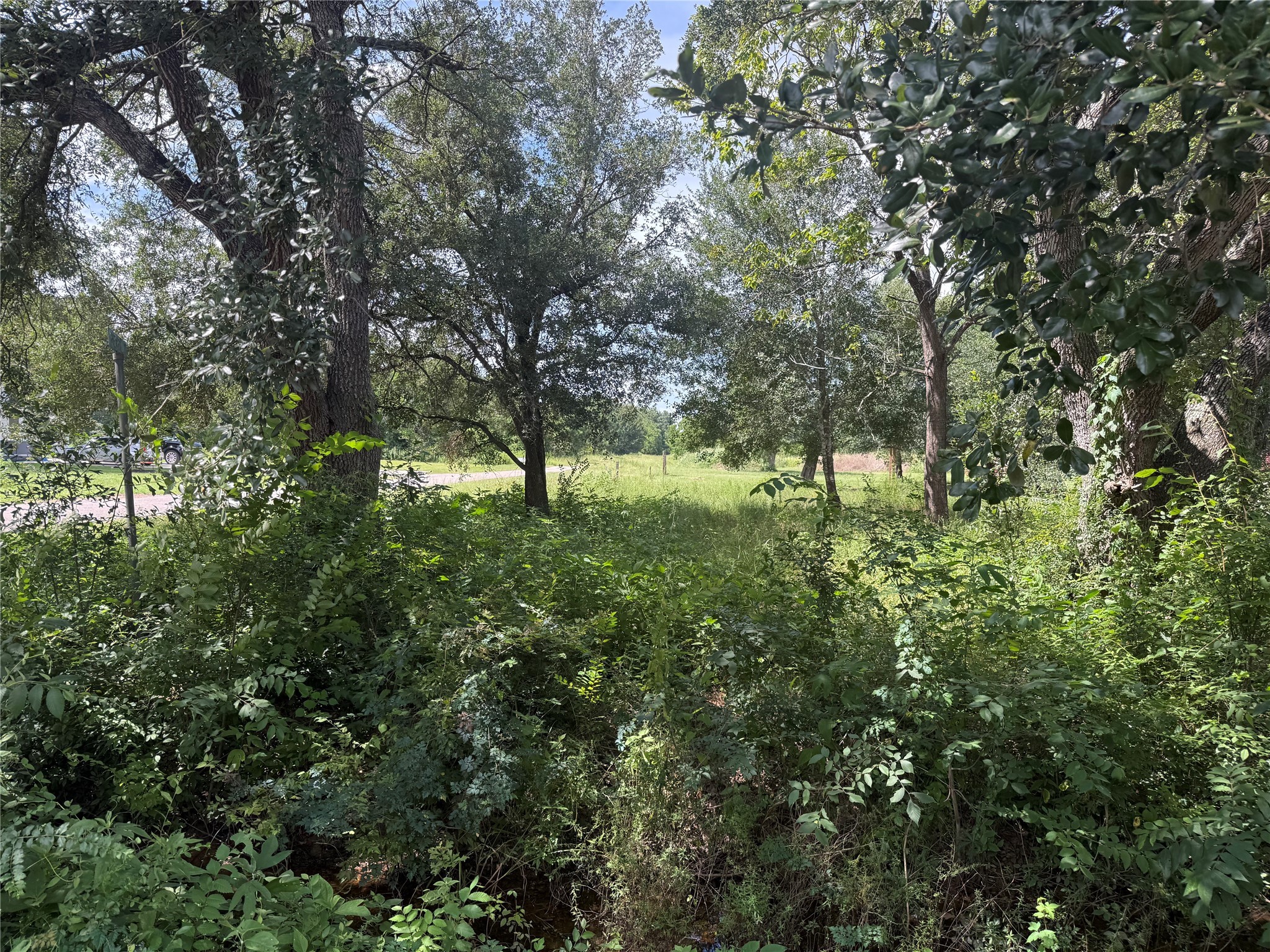 20704 Pearl Street Prairie View, TX 77484 - Photo 2 of 8 a view of outdoor space with deck and tree