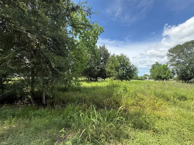 a view of a lush green space