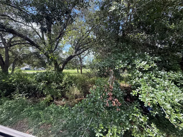 a view of a yard with plants and a tree