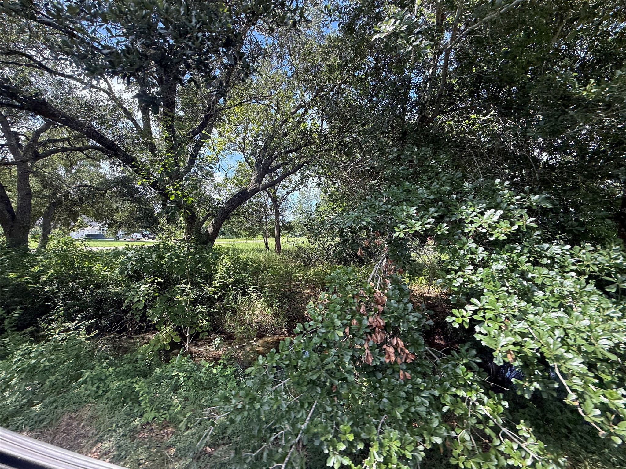 20704 Pearl Street Prairie View, TX 77484 - Photo 4 of 8 a view of a yard with plants and a tree