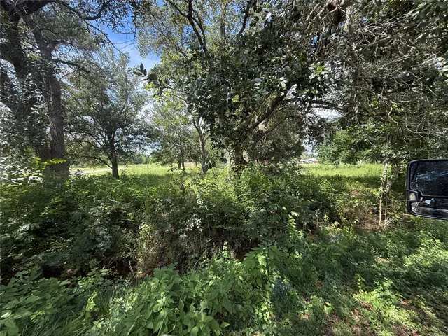 a big yard with lots of green space and deers