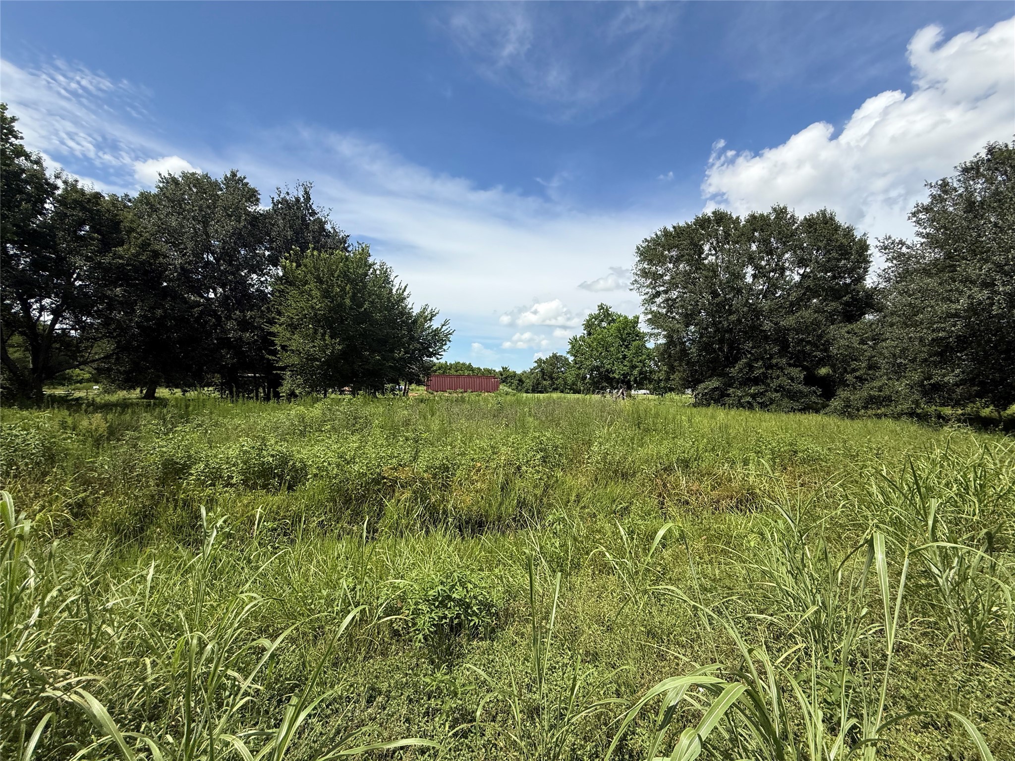 20704 Pearl Street Prairie View, TX 77484 - Photo 6 of 8 a view of garden with trees