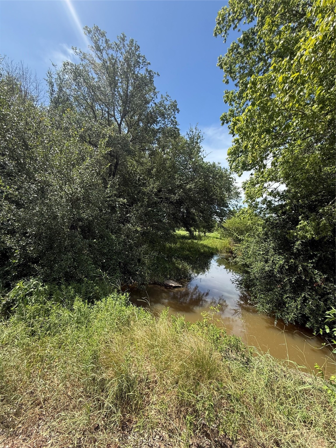 20704 Pearl Street Prairie View, TX 77484 - Photo 8 of 8 a view of outdoor space and trees all around