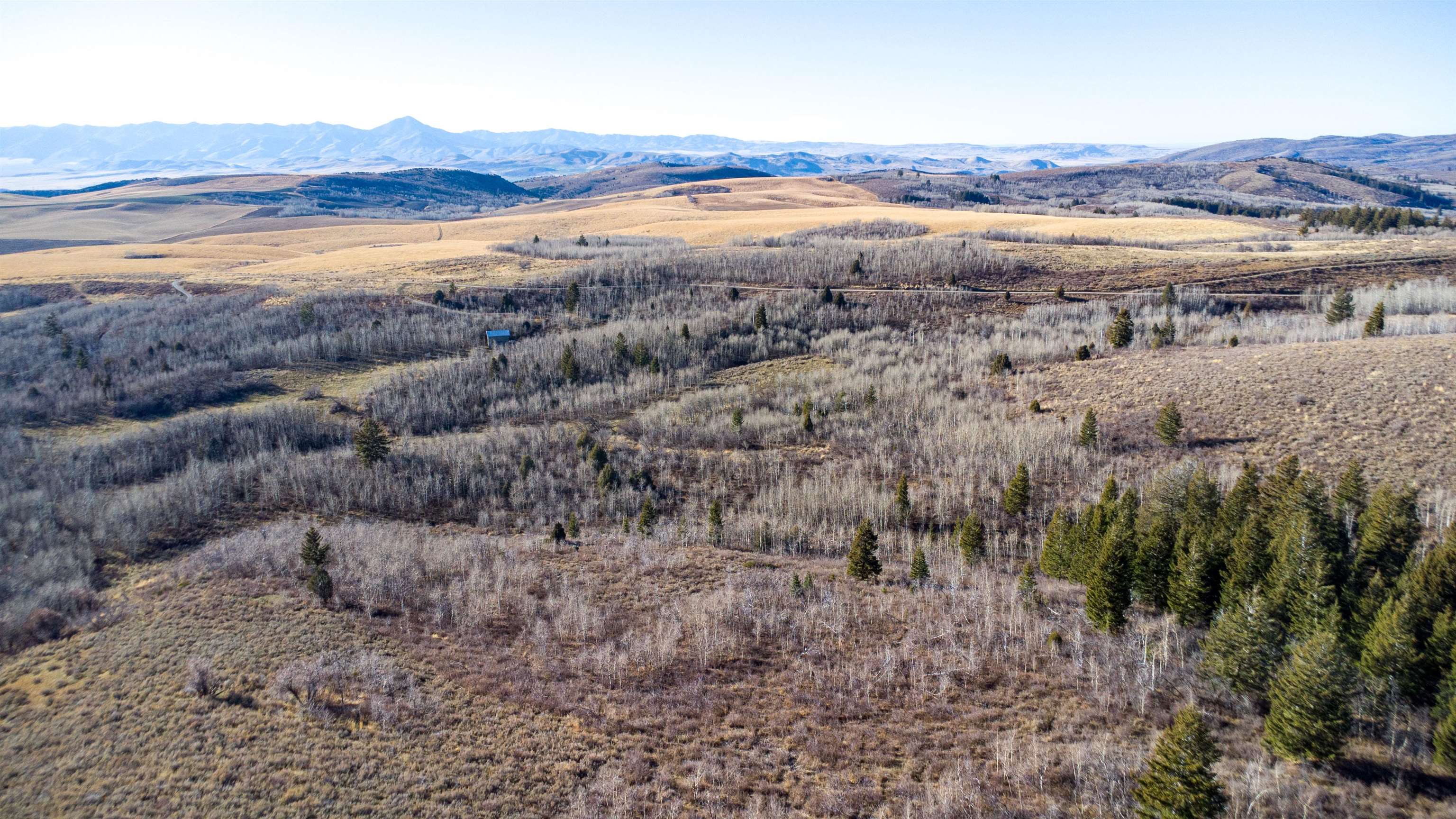 Mercer Creek Road Arimo, ID 83214 - Photo 17 of 23 Gallery Image 17