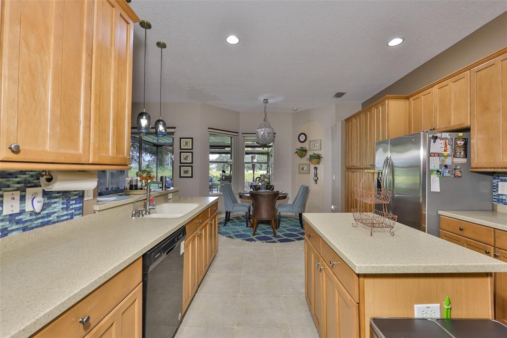 1204 Facet View Way Valrico, FL 33594 - Photo 21 of 59 a kitchen with counter top space cabinets and stainless steel appliances