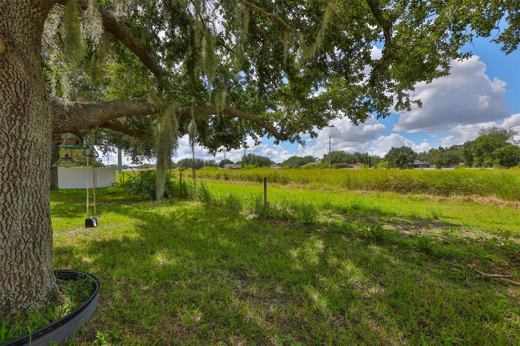 1204 Facet View Way Valrico, FL 33594 - Photo 43 of 59 a view of a golf course with a lake
