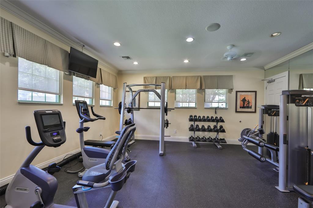 1204 Facet View Way Valrico, FL 33594 - Photo 56 of 59 a view of a room with gym equipment