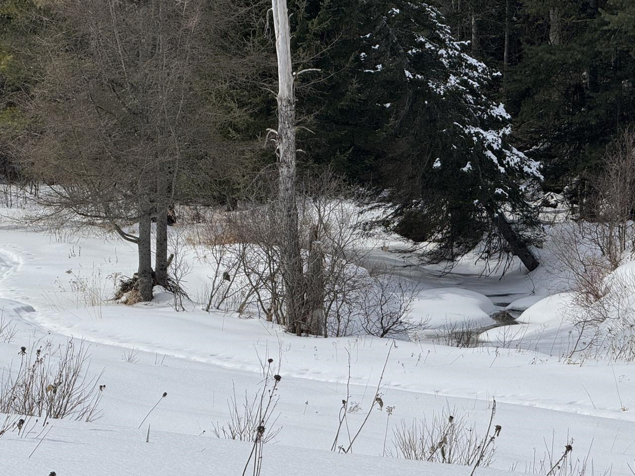 4614 Brook Road Plainfield, VT 05641 - Photo 53 of 59