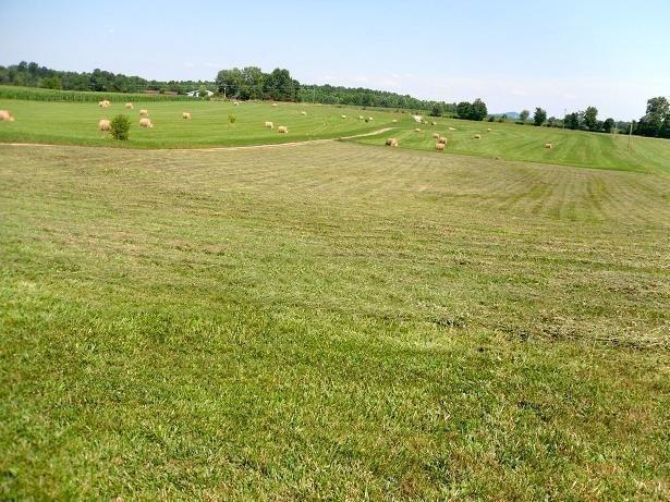 3265 West Ridge Road Eubank, KY 42567 - Photo 5 of 16 Additional Photo