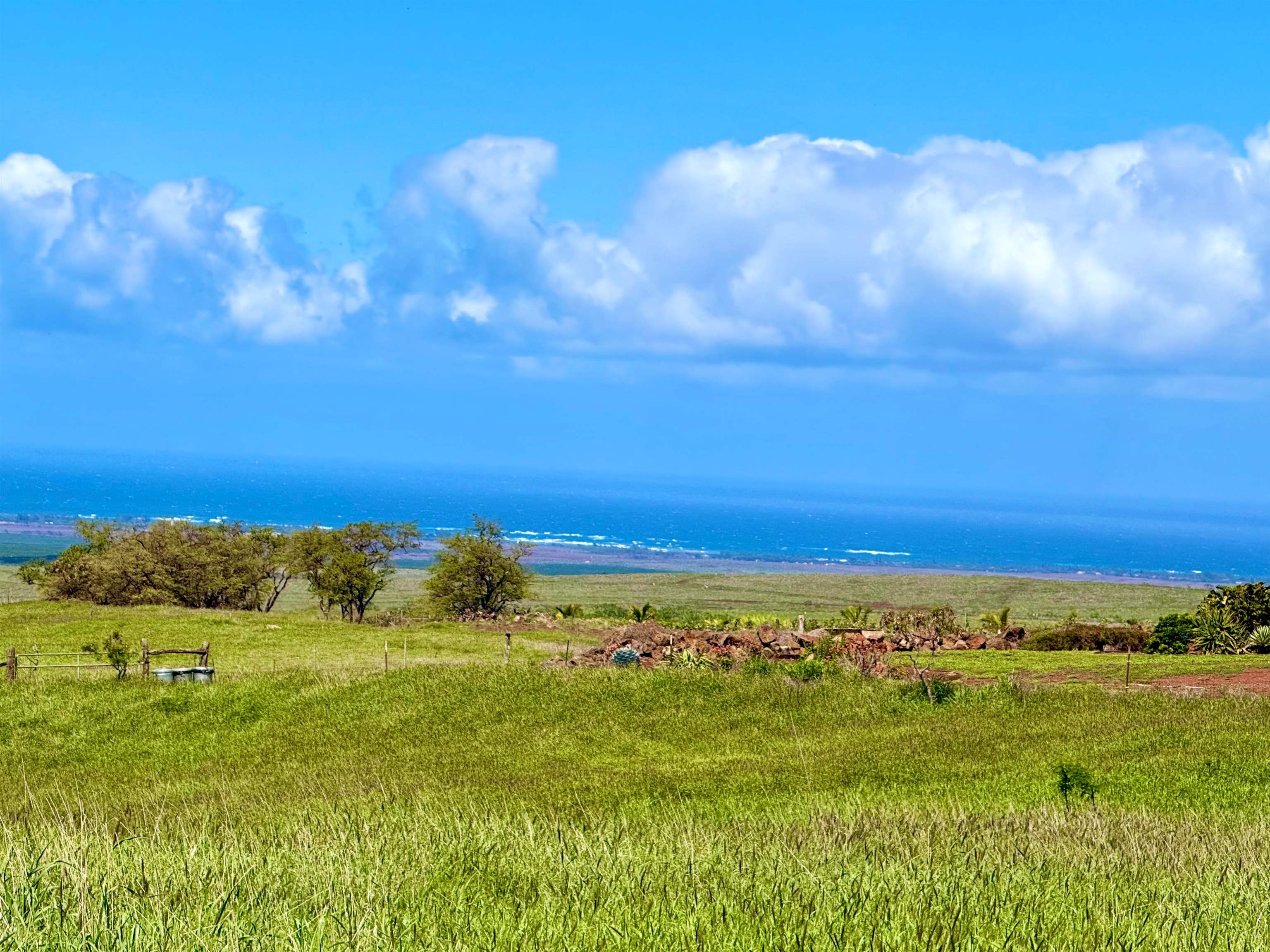 15 Apali Way Kula, HI 96790 - Photo 5 of 10