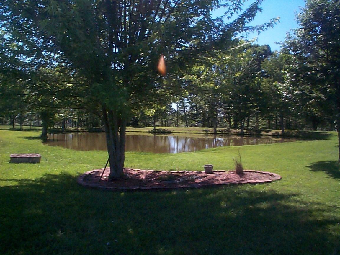 29 Johnson Flat Road Hillsboro, KY 41049 - Photo 2 of 10 Photo 2