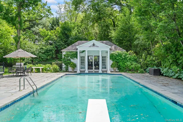 a view of a garden with a flower