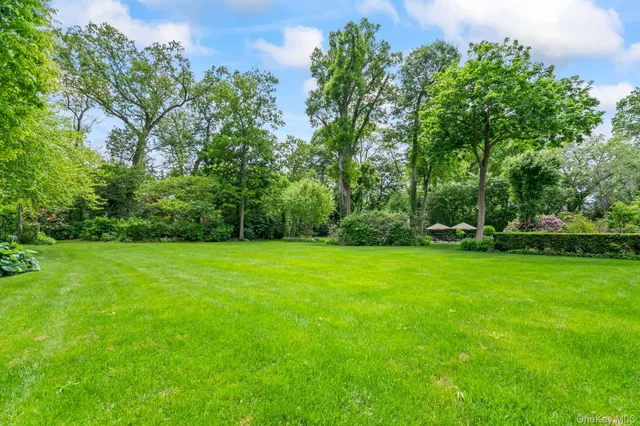 a view of a garden with a flower in a garden