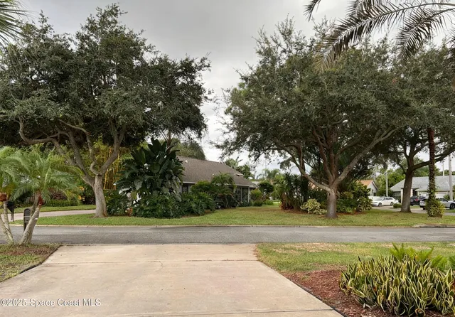 a view of yard with green space