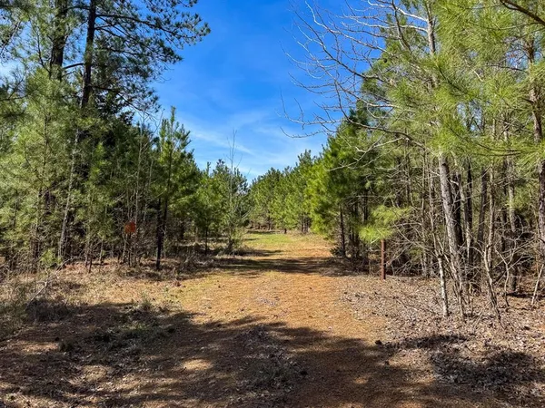 $34,800 | 12 United Gas Road 1, Rodessa, LA 71069