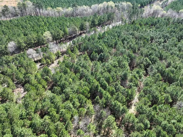 an aerial view of residential house with outdoor space and trees all around