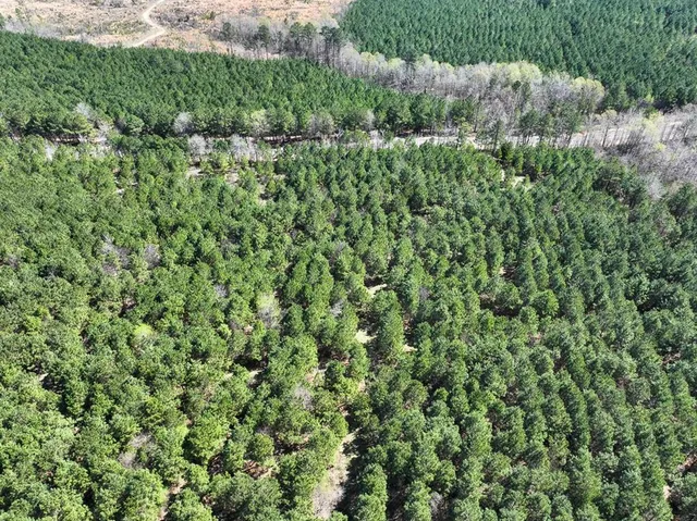 an aerial view of residential house with outdoor space and trees all around