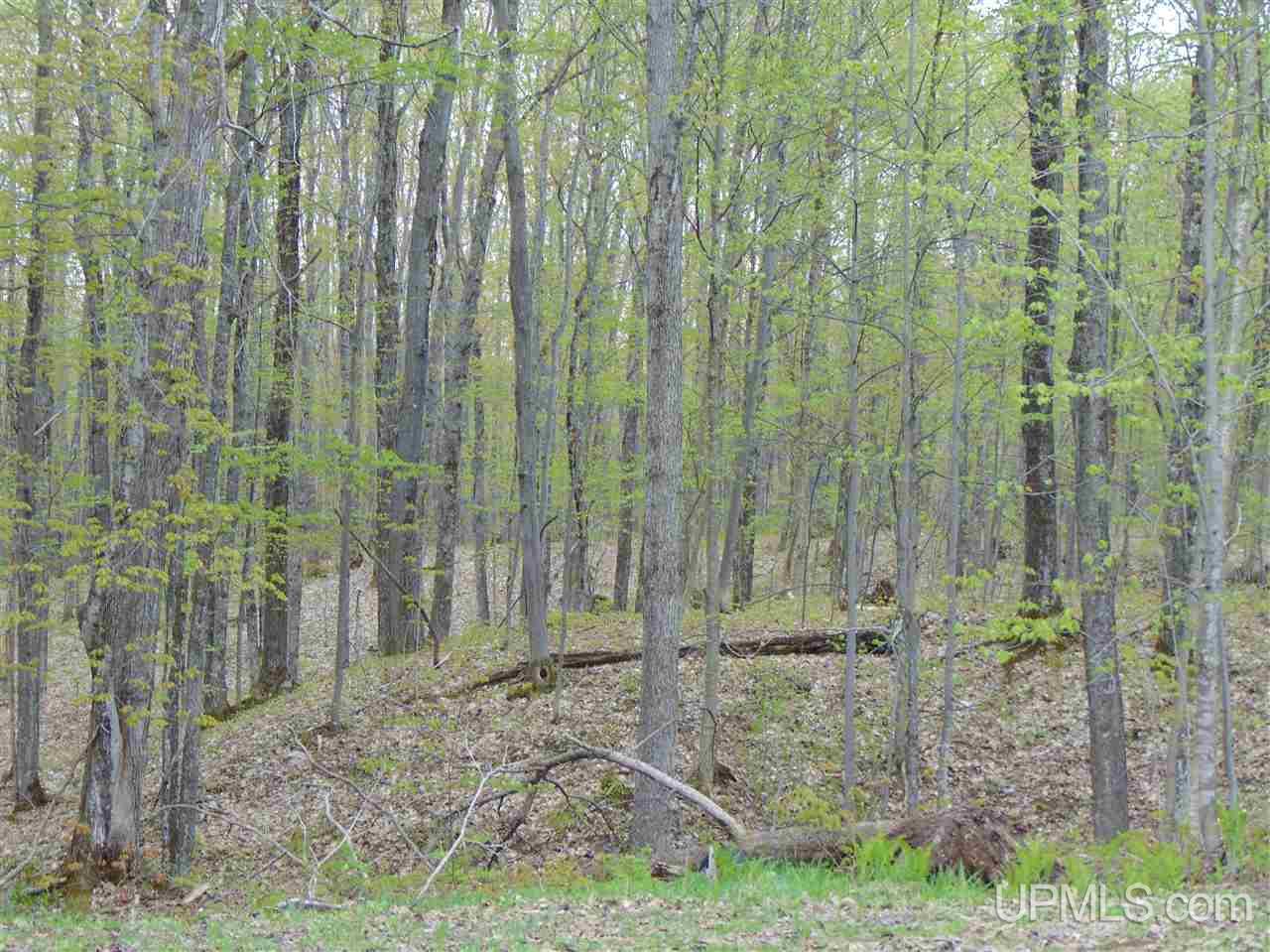 34861 Apple Seed Road, Unit TAPIOLA Chassell, MI 49916 - Photo 58 of 61