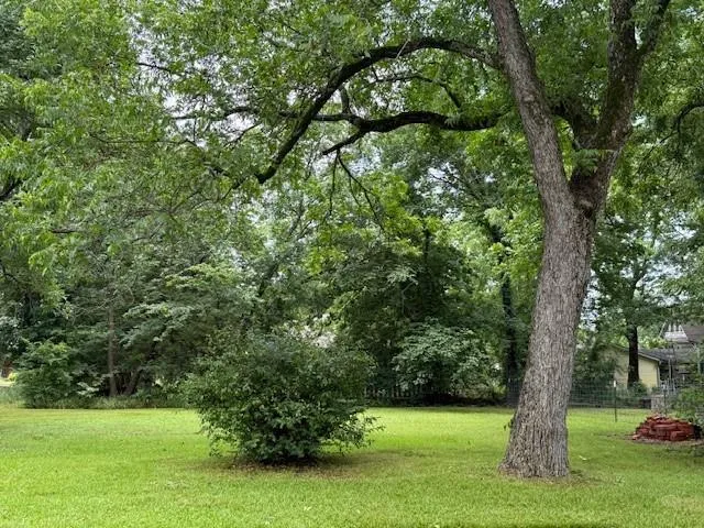 a view of green field with trees